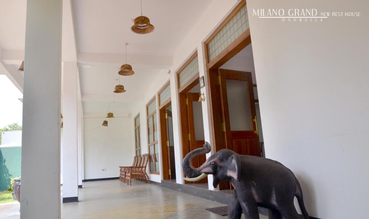 Milano Grand Ξενοδοχείο Dambulla Εξωτερικό φωτογραφία